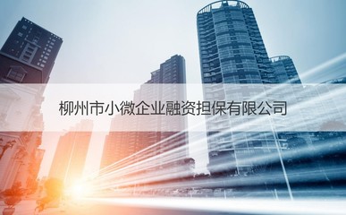 柳州市小企业担保公司非融资担保服务岗位待遇分析